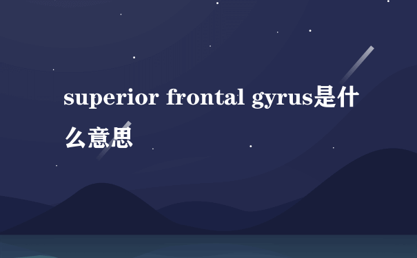 superior frontal gyrus是什么意思