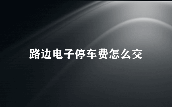 路边电子停车费怎么交