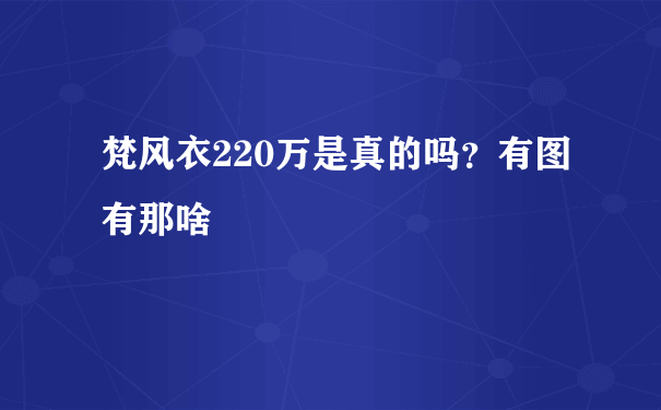 梵风衣220万是真的吗？有图有那啥