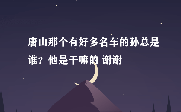 唐山那个有好多名车的孙总是谁？他是干嘛的 谢谢