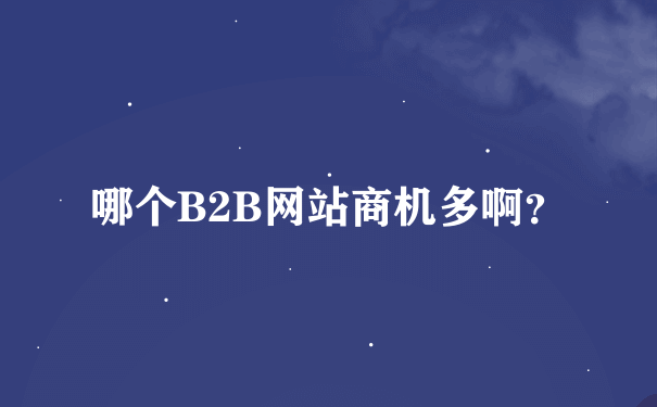 哪个B2B网站商机多啊？