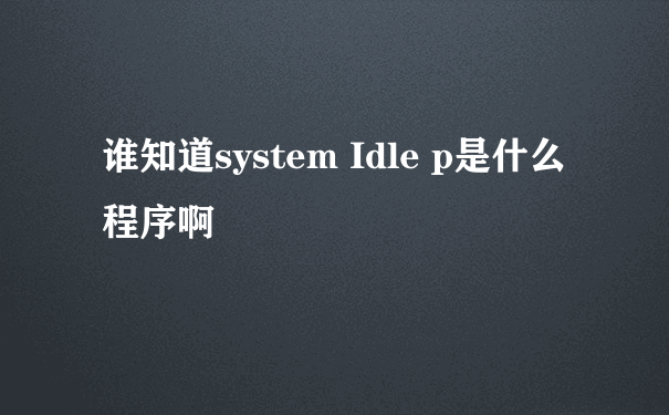 谁知道system Idle p是什么程序啊