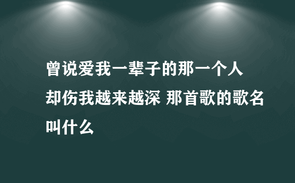 曾说爱我一辈子的那一个人 却伤我越来越深 那首歌的歌名叫什么