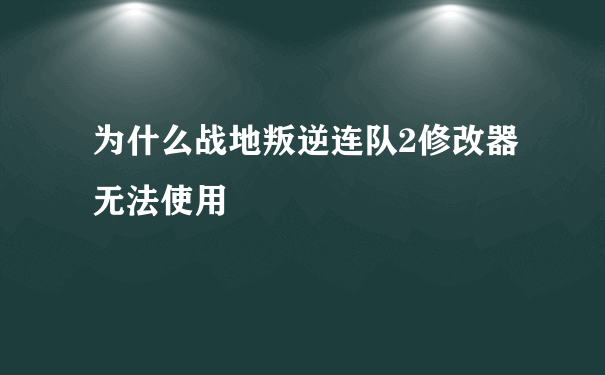 为什么战地叛逆连队2修改器无法使用