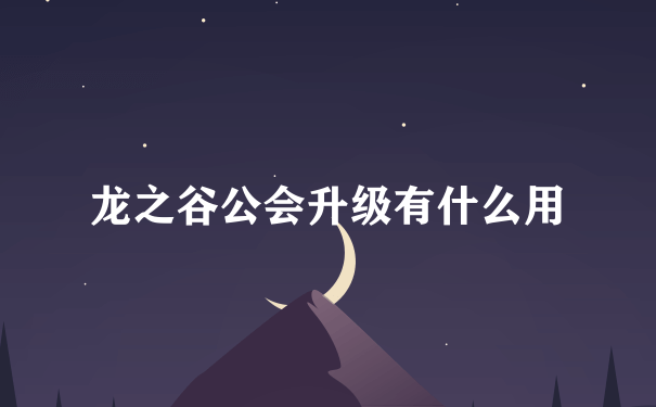 龙之谷公会升级有什么用