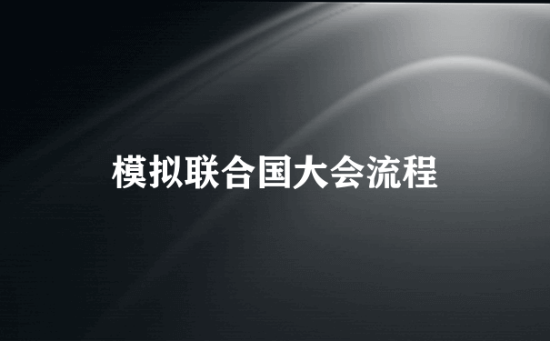 模拟联合国大会流程