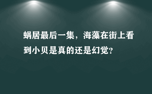 蜗居最后一集，海藻在街上看到小贝是真的还是幻觉？