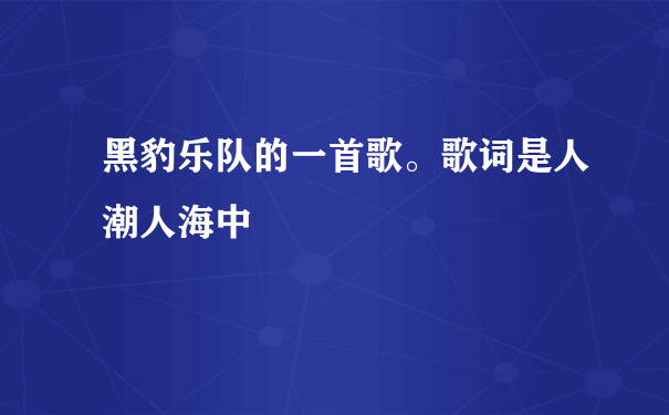 黑豹乐队的一首歌。歌词是人潮人海中