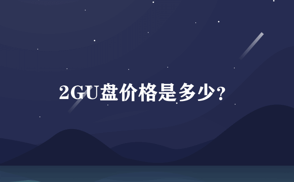 2GU盘价格是多少？