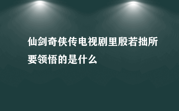 仙剑奇侠传电视剧里殷若拙所要领悟的是什么