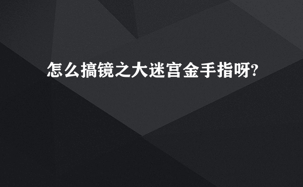 怎么搞镜之大迷宫金手指呀?