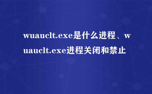 wuauclt.exe是什么进程、wuauclt.exe进程关闭和禁止