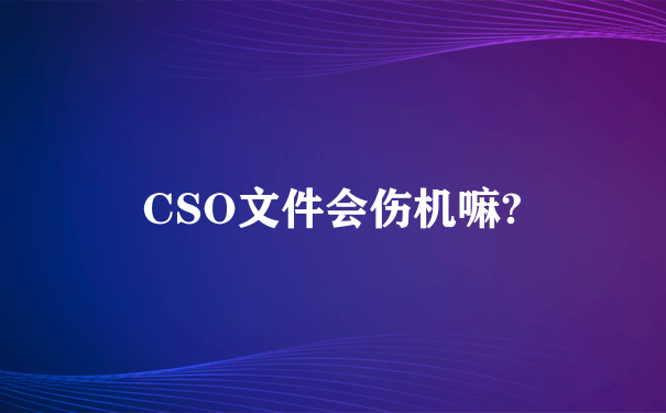 CSO文件会伤机嘛?