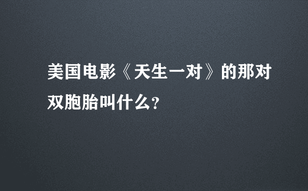 美国电影《天生一对》的那对双胞胎叫什么？