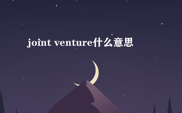 joint venture什么意思