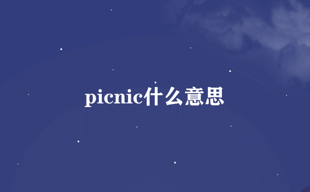 picnic什么意思