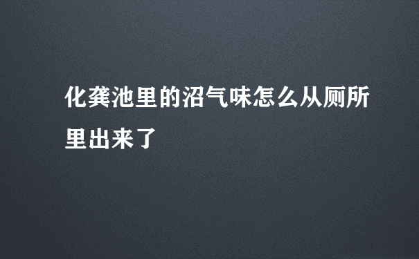 化龚池里的沼气味怎么从厕所里出来了