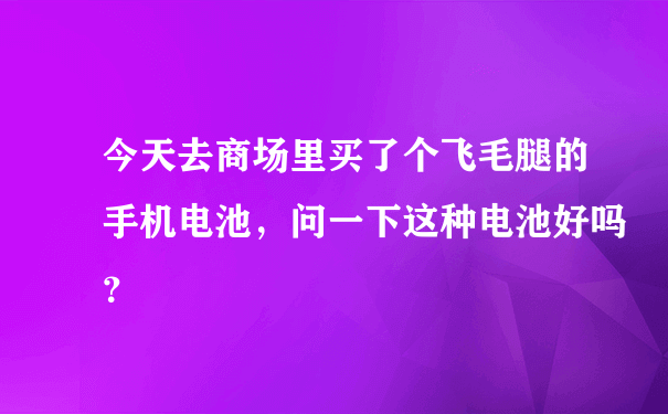 今天去商场里买了个飞毛腿的手机电池，问一下这种电池好吗？