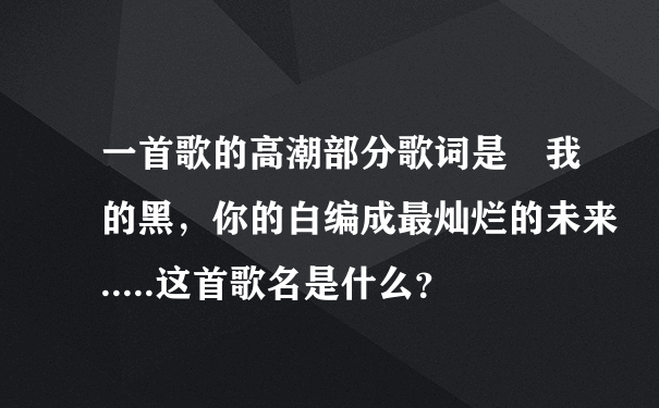 一首歌的高潮部分歌词是　我的黑，你的白编成最灿烂的未来.....这首歌名是什么？