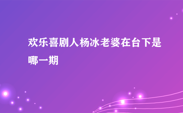 欢乐喜剧人杨冰老婆在台下是哪一期