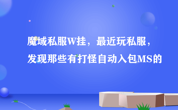 魔域私服W挂，最近玩私服，发现那些有打怪自动入包MS的