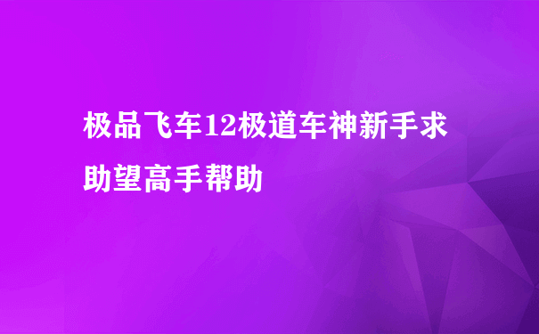 极品飞车12极道车神新手求助望高手帮助