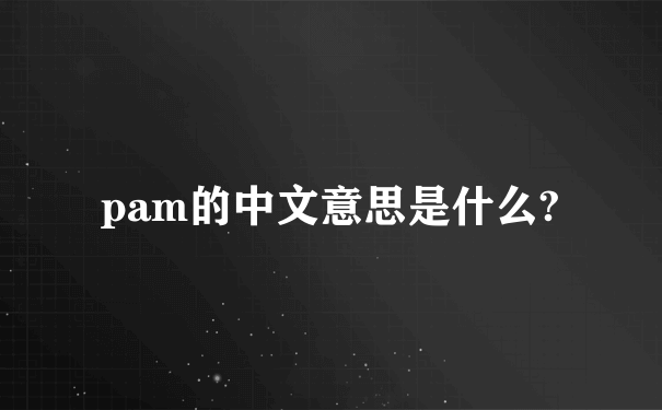 pam的中文意思是什么?