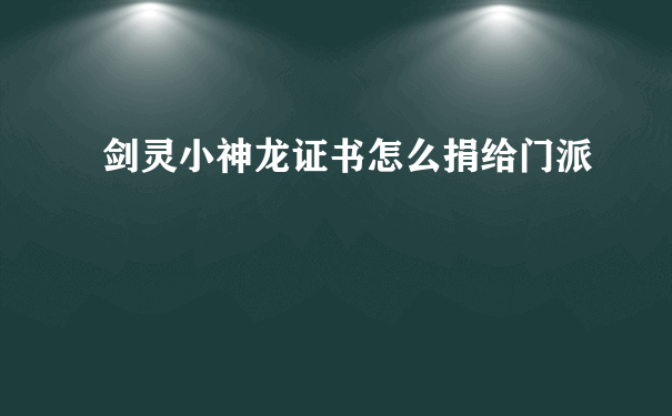 剑灵小神龙证书怎么捐给门派