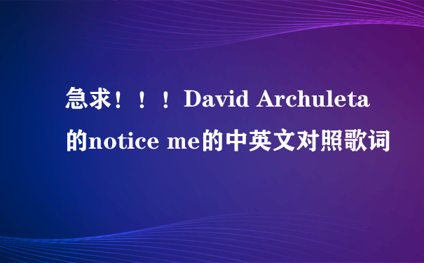 急求！！！David Archuleta的notice me的中英文对照歌词