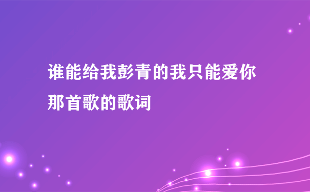 谁能给我彭青的我只能爱你 那首歌的歌词