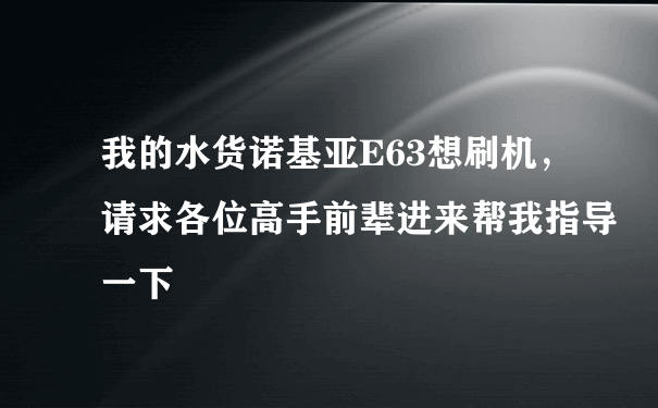 我的水货诺基亚E63想刷机，请求各位高手前辈进来帮我指导一下