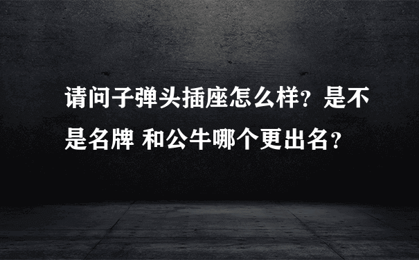 请问子弹头插座怎么样？是不是名牌 和公牛哪个更出名？