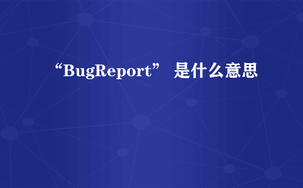 “BugReport” 是什么意思