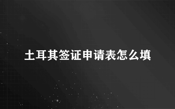 土耳其签证申请表怎么填