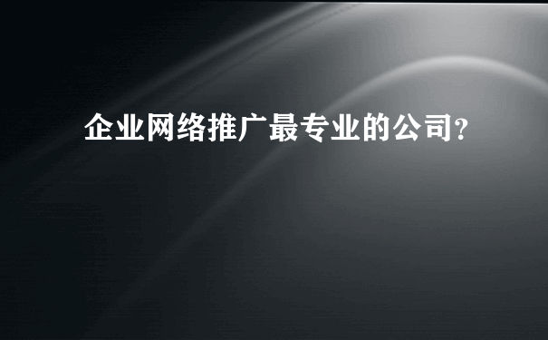 企业网络推广最专业的公司？