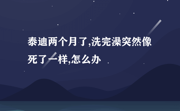 泰迪两个月了,洗完澡突然像死了一样,怎么办