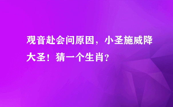 观音赴会问原因，小圣施威降大圣！猜一个生肖？