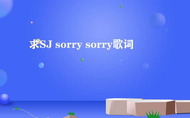 求SJ sorry sorry歌词