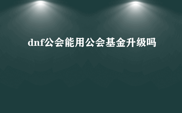 dnf公会能用公会基金升级吗