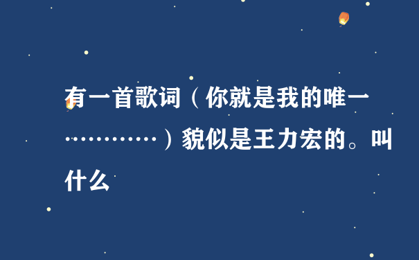 有一首歌词（你就是我的唯一…………）貌似是王力宏的。叫什么