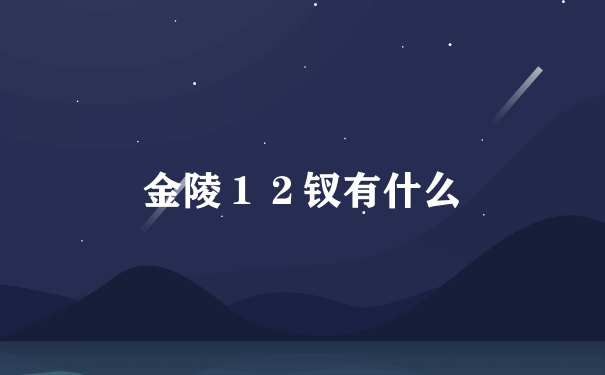 金陵１２钗有什么