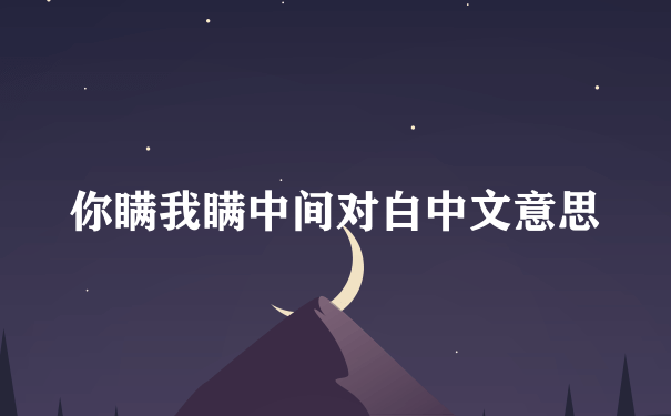 你瞒我瞒中间对白中文意思