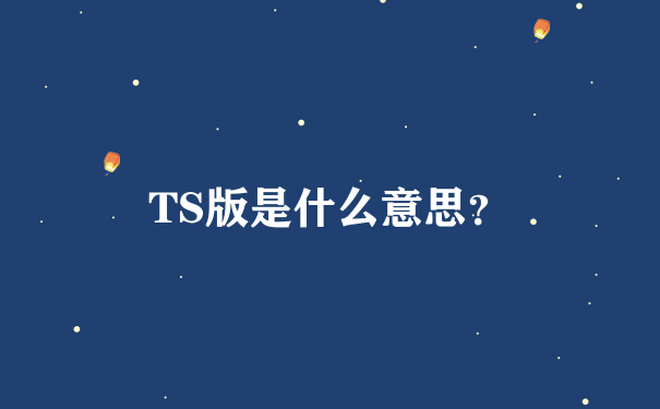 TS版是什么意思？