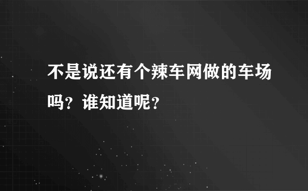 不是说还有个辣车网做的车场吗？谁知道呢？