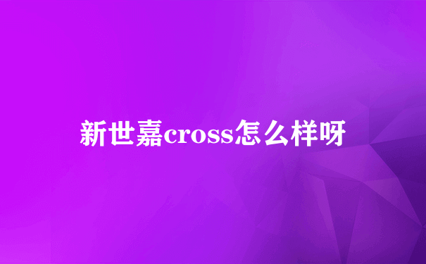 新世嘉cross怎么样呀