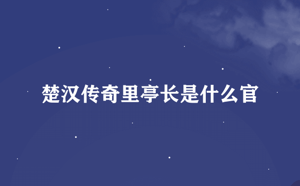 楚汉传奇里亭长是什么官