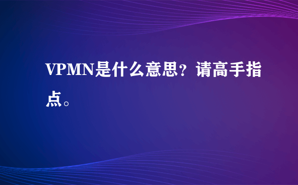 VPMN是什么意思？请高手指点。