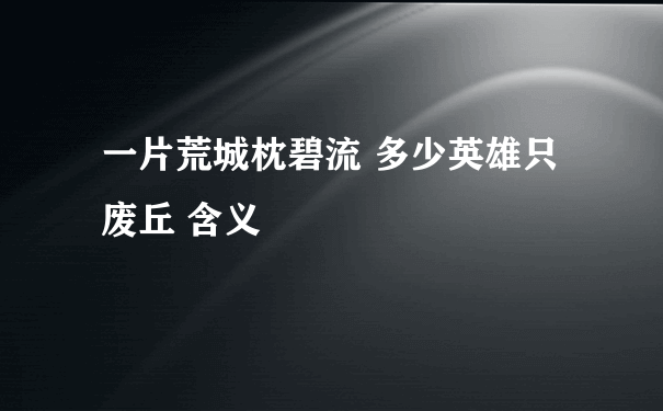 一片荒城枕碧流 多少英雄只废丘 含义