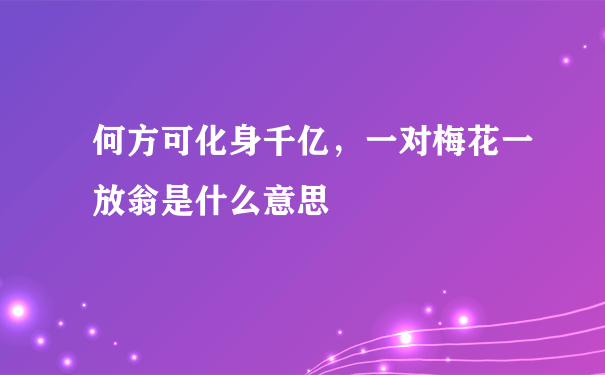 何方可化身千亿，一对梅花一放翁是什么意思