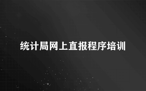 统计局网上直报程序培训